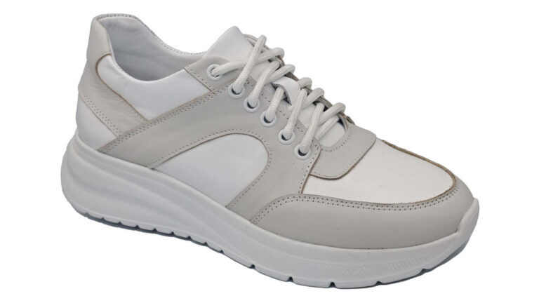 Model-550