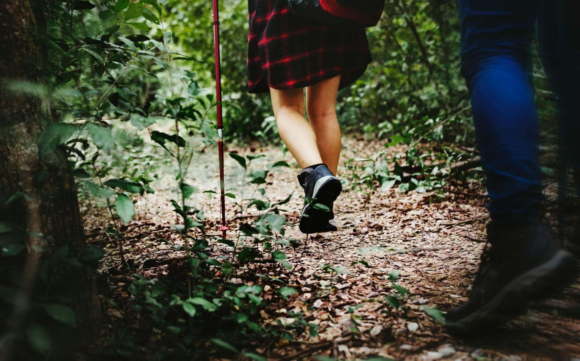 Free Walk