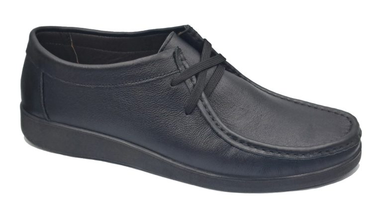 Model-0231